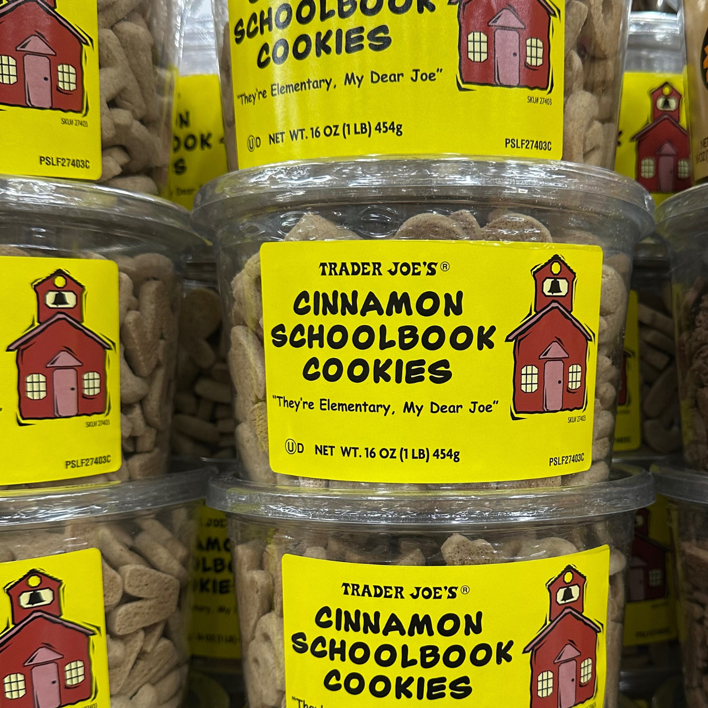 Cinnamon Schoolbook Cookies